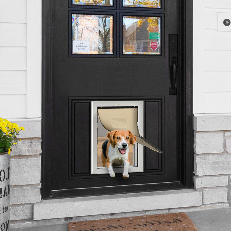 Plastic shop doggie door